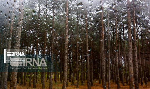 پیش‌بینی طوفان و تگرگ در بیش‌تر مناطق کرمان