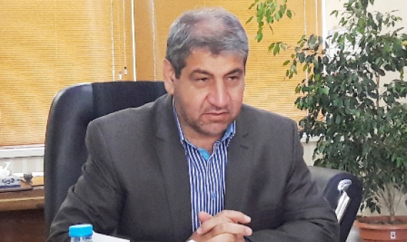70 هزار تن از خرمای شرق استان از بین رفت