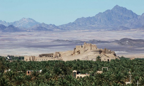 زمین در شهر نداریم، باغات را خشک می‌کنند