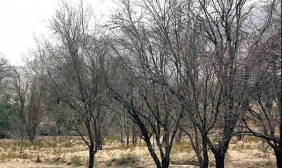 تاثیر اندک بارشهای بهاری بر سفرههای آب زیرزمینی استان
