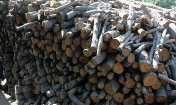 محمولۀ قاچاق چوب از جازموریان به گلستان متوقف شد