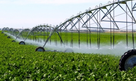 استفاده از آب‌های نامتعارف نسخۀ درمان کشاورزی کرمان است