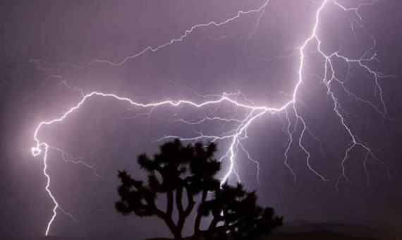 صاعقه جان 3 نفر را در جنوب کرمان گرفت