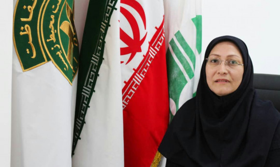 کرمانی‌ها امسال 230 روز هوای سالم استشمام كردند