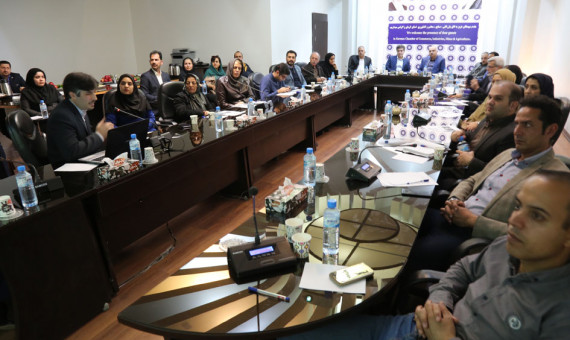 راهاندازی بازار آنلاین صنایعدستی کرمان بررسی شد