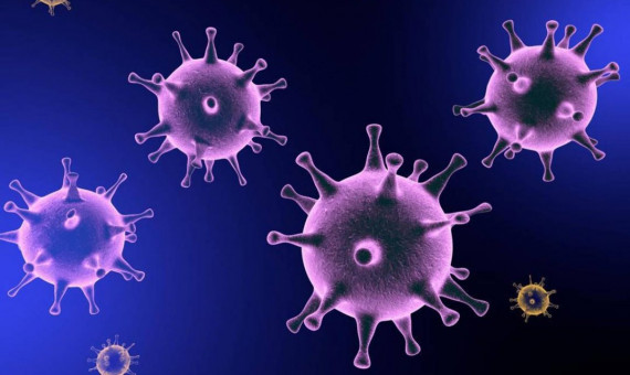 ویروس کرونا سال ۲۰۱۵ در آمریکا تولید شده است