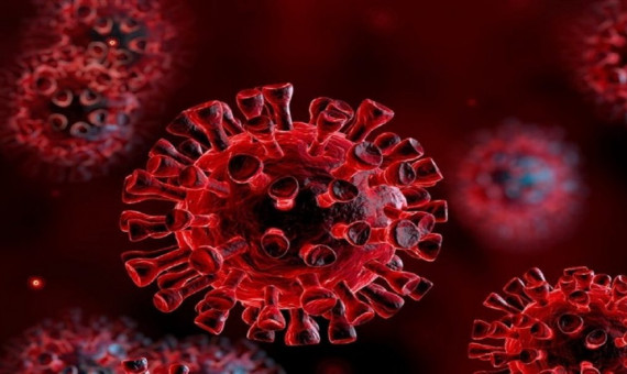 اپیدمی ویروس جدید از سوی سازمان جهانی بهداشت گزارش نشده است