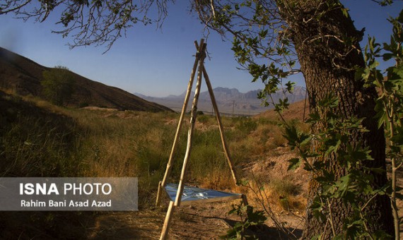 هنر محیطی مخاطب را به پرسشگری وا میدارد
